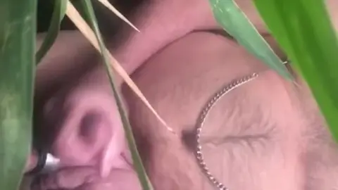 Big Daddy Masturbates with Cock Ring and Nipple Clamps