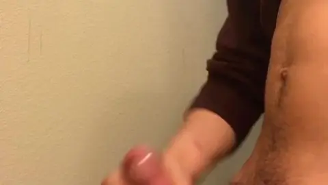 Fast Bathroom Fuck with Cumshot