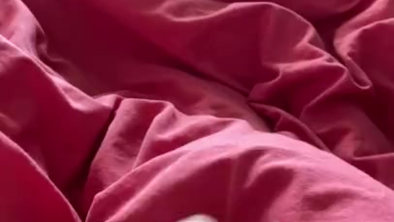  Solo Guy Jerks Off His Hard Cock for 7 Minutes