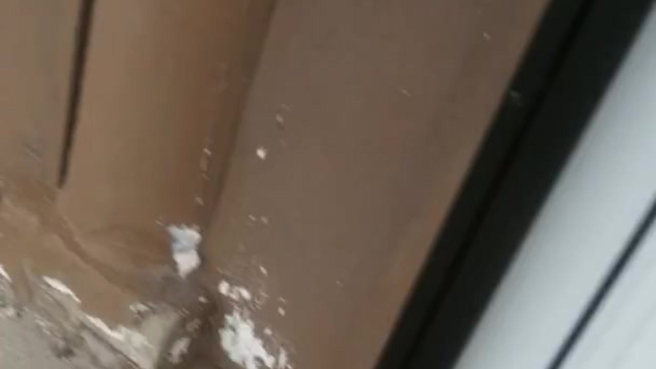 Public Exposing and Cumshots in Detroit
