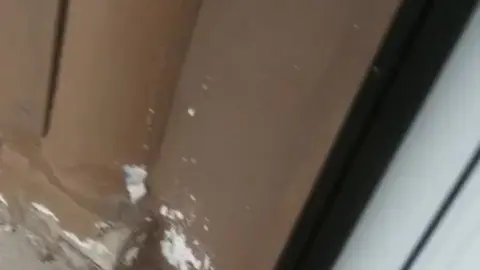 Public Exposing and Cumshots in Detroit