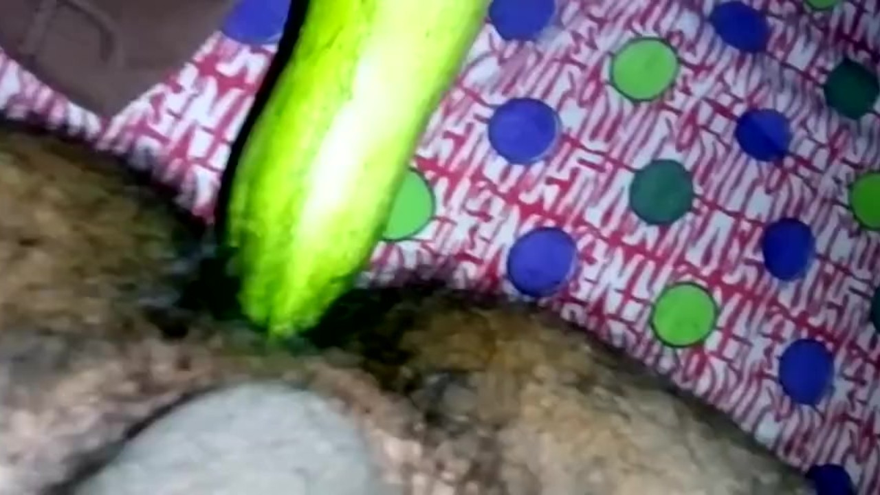 Gay Guy Inserts Large Cucumber in His Ass