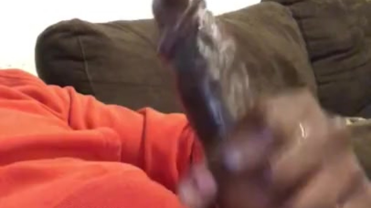 Solo Guy Masturbates His Erect Dick