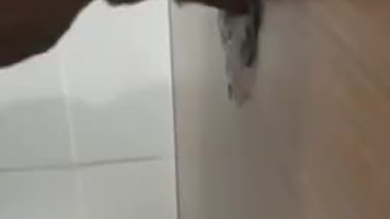 Public Toilet Blowjob with Young Twink