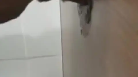 Public Toilet Blowjob with Young Twink