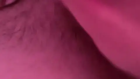 Young Twink Masturbates to Orgasm
