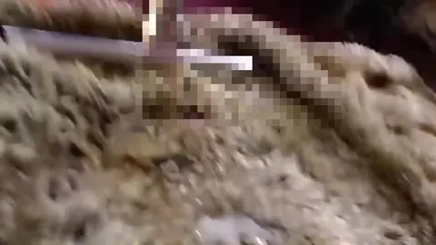 Teen Anal Play with New Toy