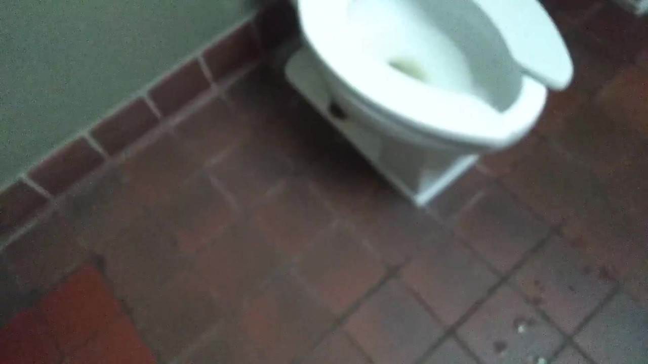 Guy Cums in Public Park Bathroom