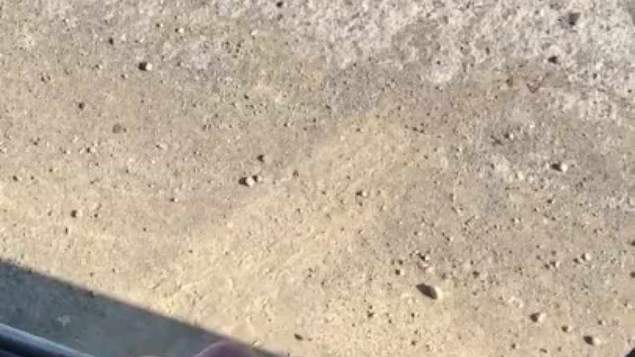 Beach Guy Cums Hard Outdoors