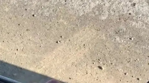 Beach Guy Cums Hard Outdoors