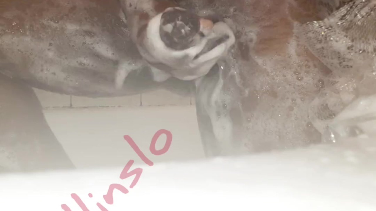 Hunky Guy Gets Golden Shower