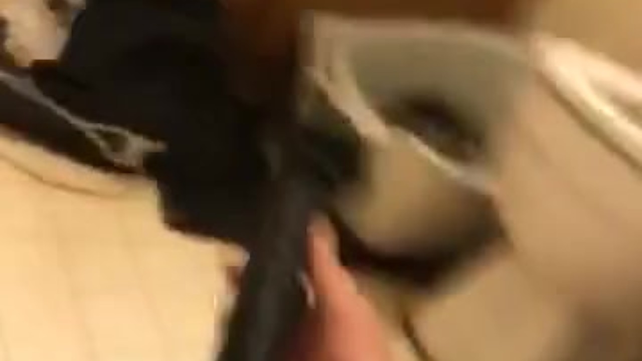 Femboy Enjoys Anal Penetration