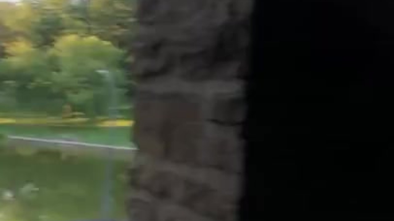 Guy Masturbates in Public Park to Orgasm