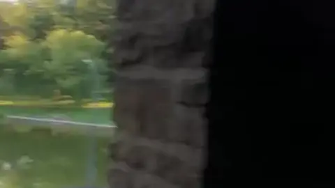 Guy Masturbates in Public Park to Orgasm