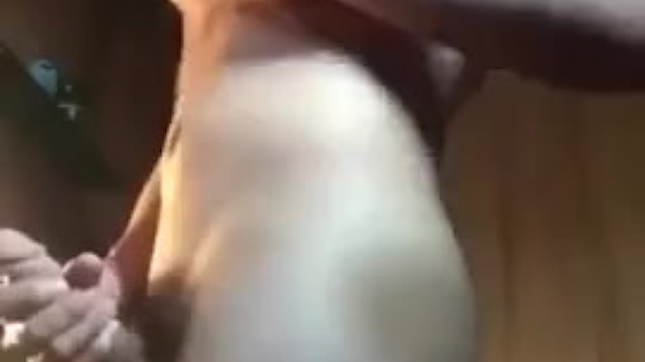 Guy Masturbates at Friend's Place