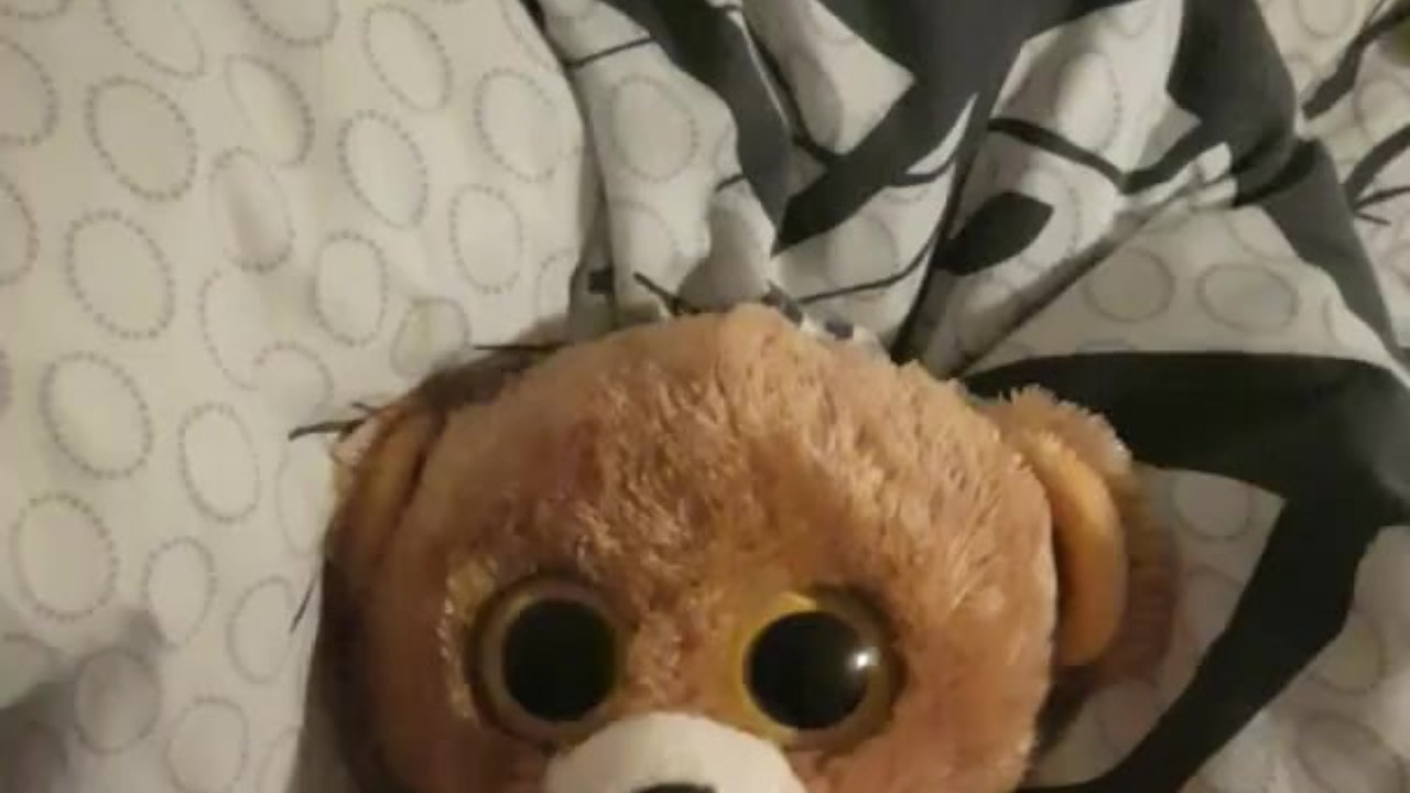 Teddy Gets Cumshot After Intense Masturbation