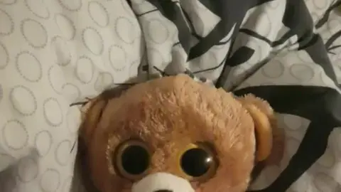 Teddy Gets Cumshot After Intense Masturbation