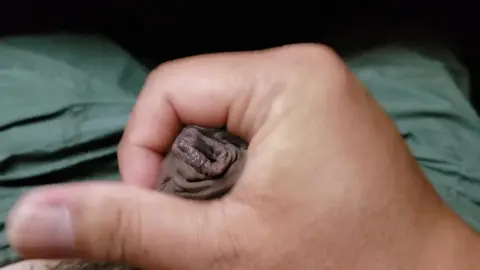 Uncut Cock Masturbation Ends in Ejaculation