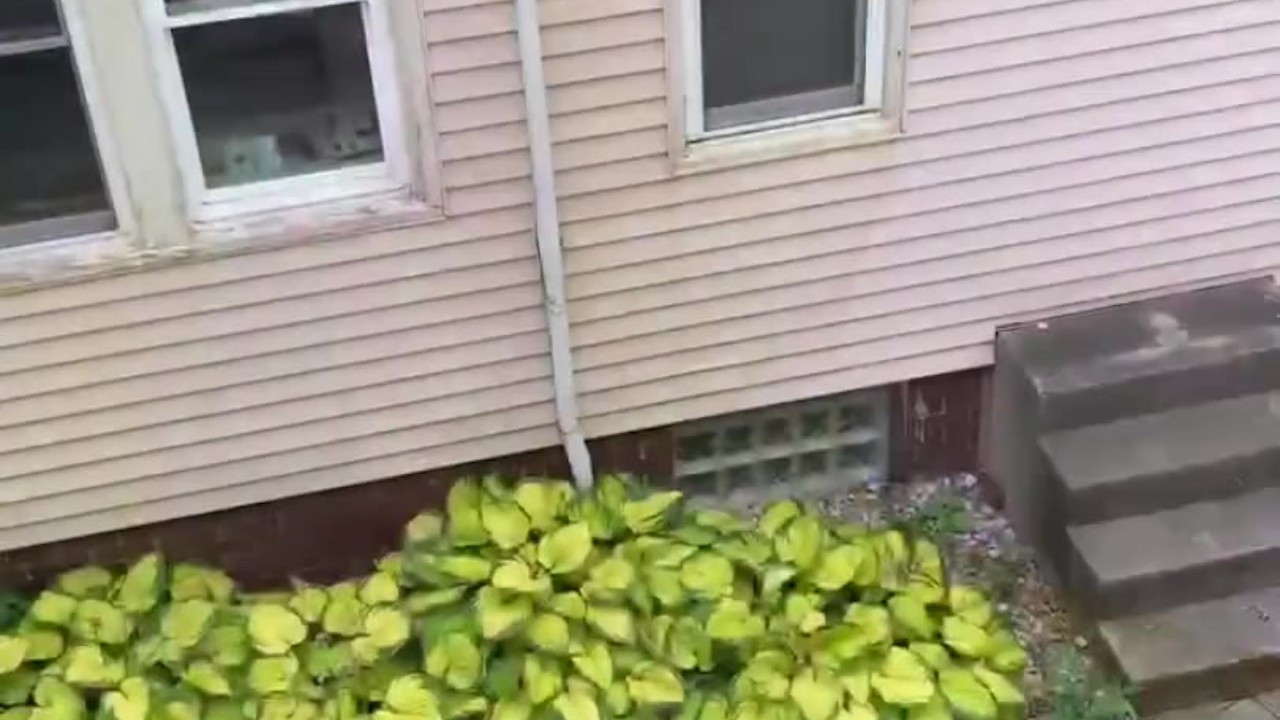 Eddie De Luca Cums Out Open Window