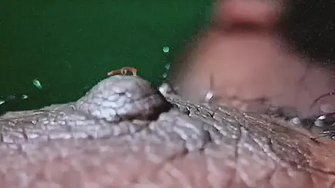 Closeup of Giant Nipple Tease