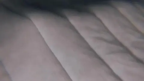 Fat Male Masturbates with Loud Moaning