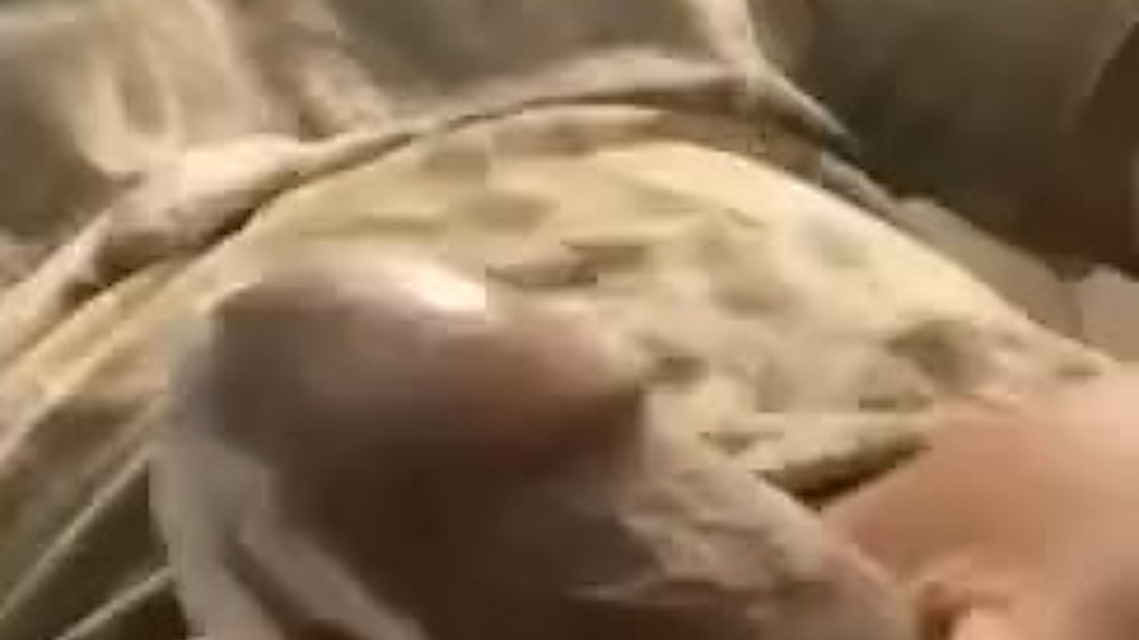 Quick Bathroom Blowjob