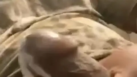 Quick Bathroom Blowjob
