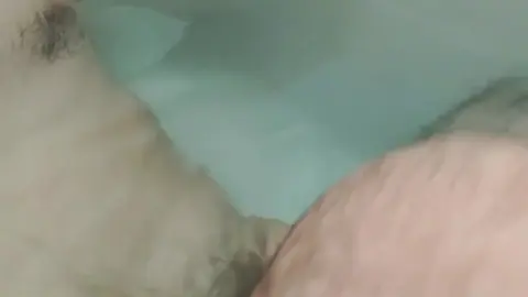 Japanese Men Shower and Play