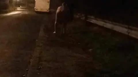 Nude Guy Exposes Himself Beside Campervan