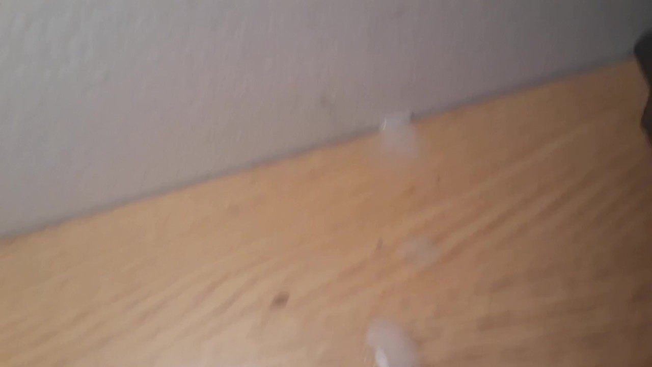 Gay Guys Make Cum Cookies for Oral Fun