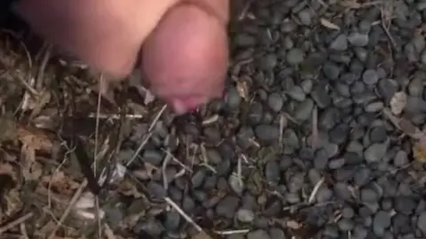 Solo Guy Masturbates to Ejaculation