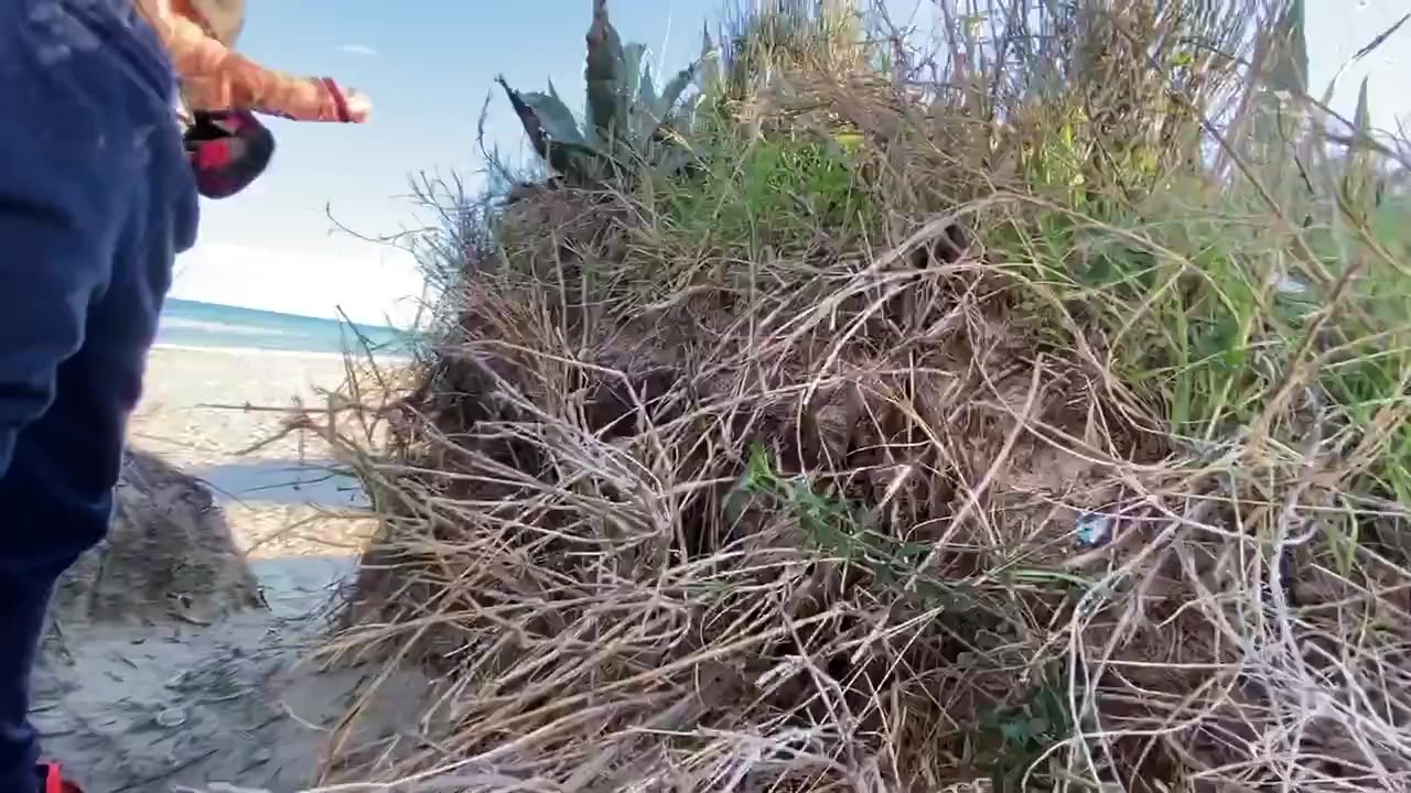 Gay Beach Cruising Leads to Public Hard Dick