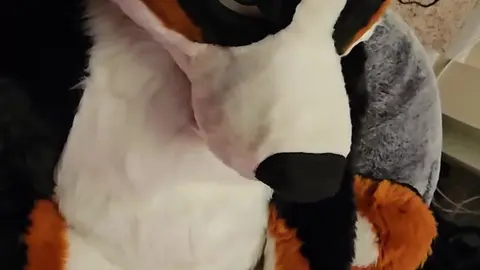 Guy Fucks Own Paws, Jerks Off Under Christmas Tree