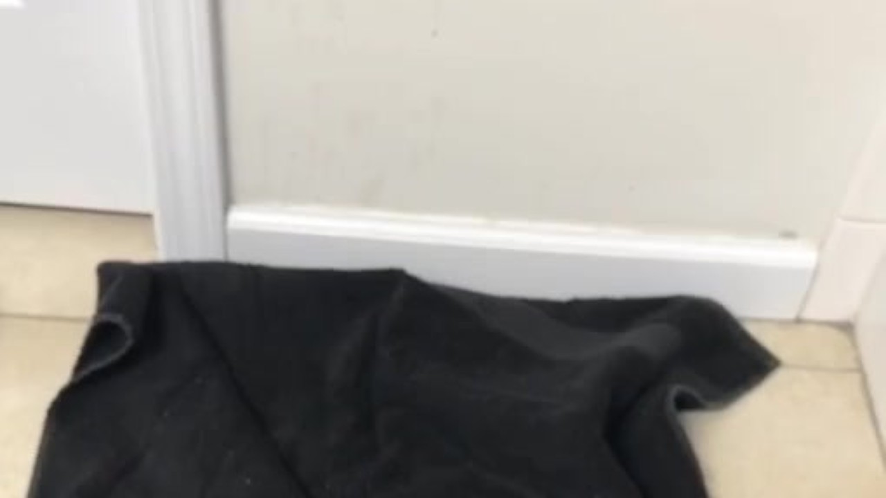 Powerful Cumshot Hits Wall 5 Feet Away