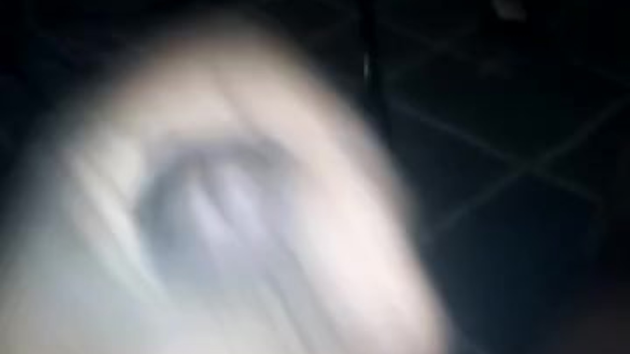 Big Black Cock Jerking Off Solo