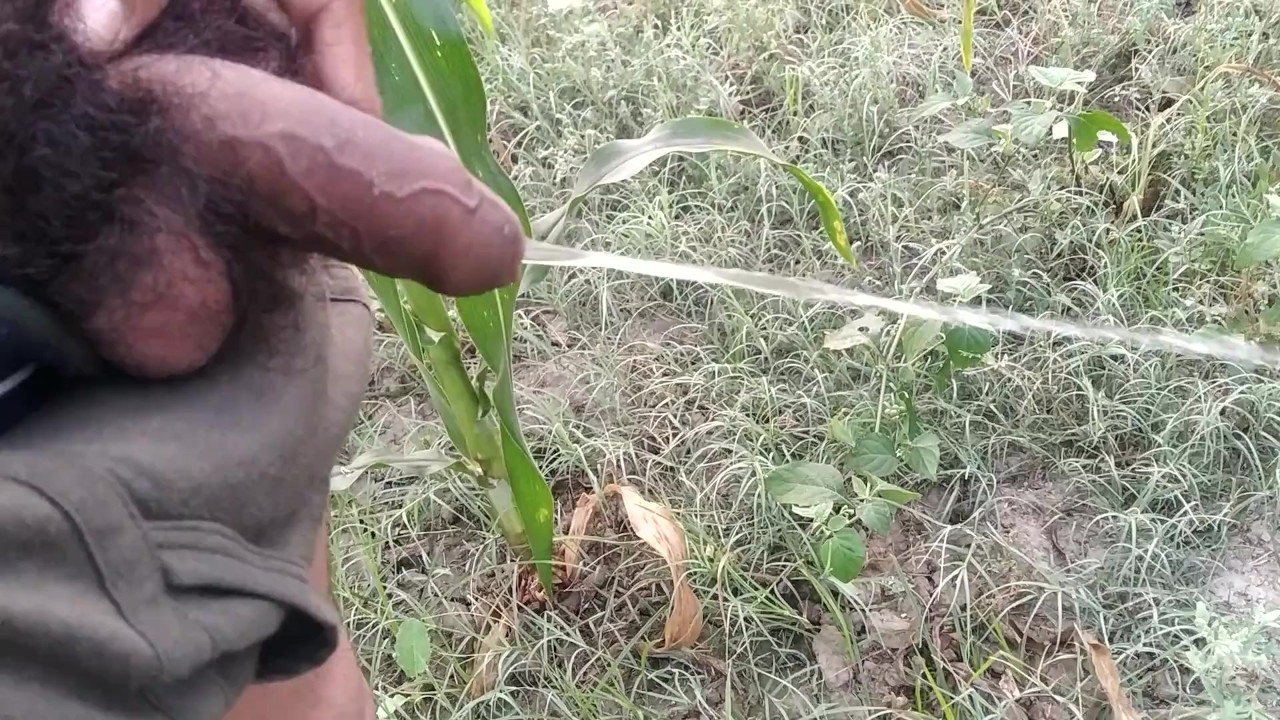 Indian Twink Urinates in Morning Scene
