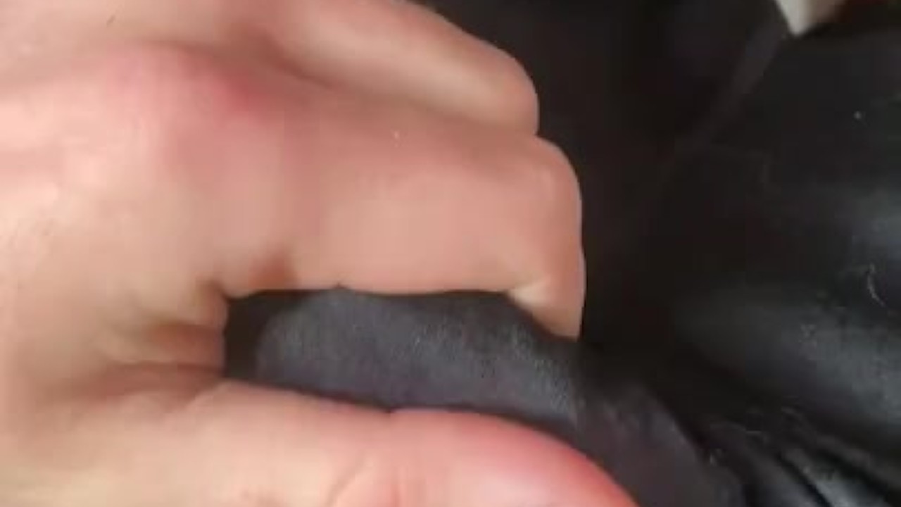 Morning Solo Jerk with Hard Cock