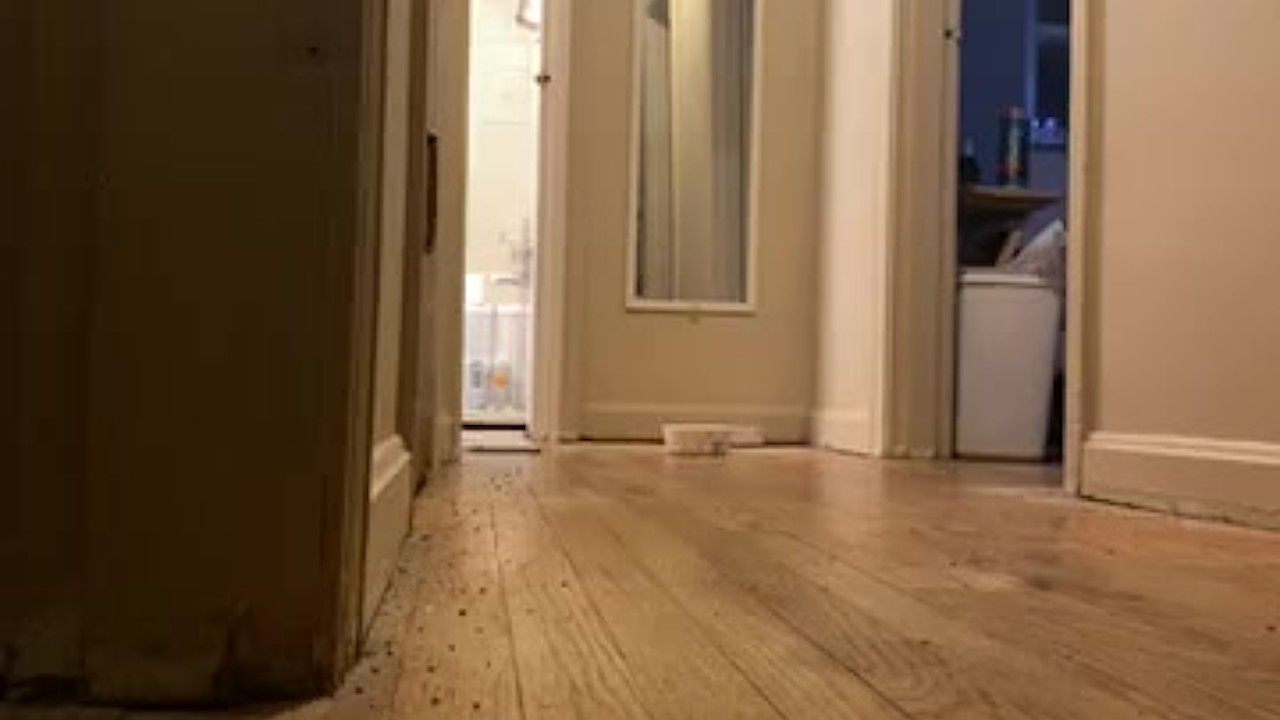 Young Twink Masturbates Alone