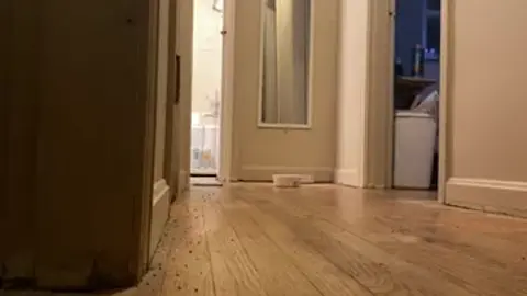 Young Twink Masturbates Alone