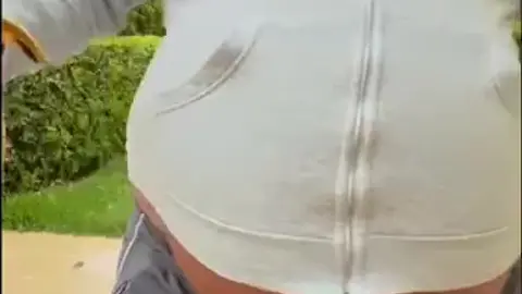 Hairy Bear Shows Off Bulging Body