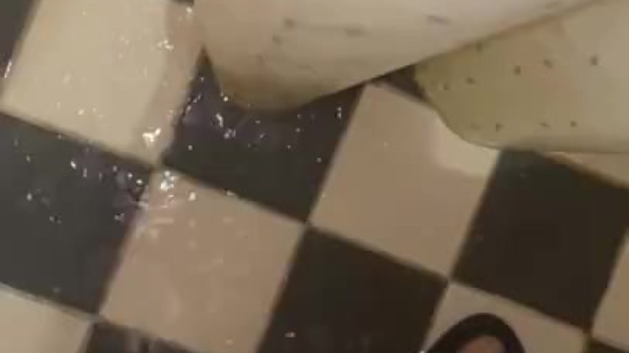 Solo Guy Jerks Off to Completion