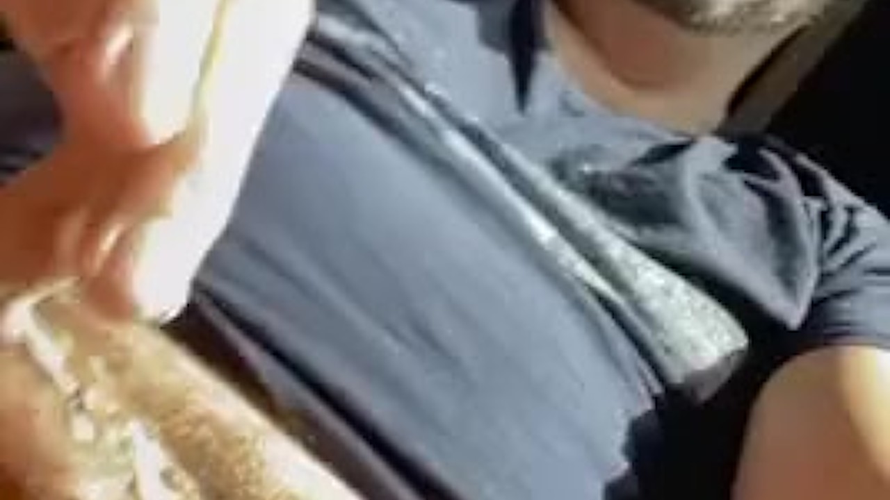 DILF Strokes Uncut Cock and Cums