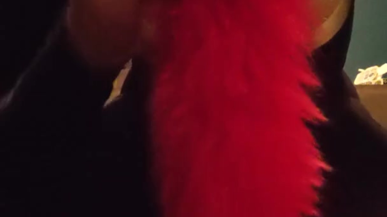 Guy Plays with Tail Plug and Inflatable Buttplug