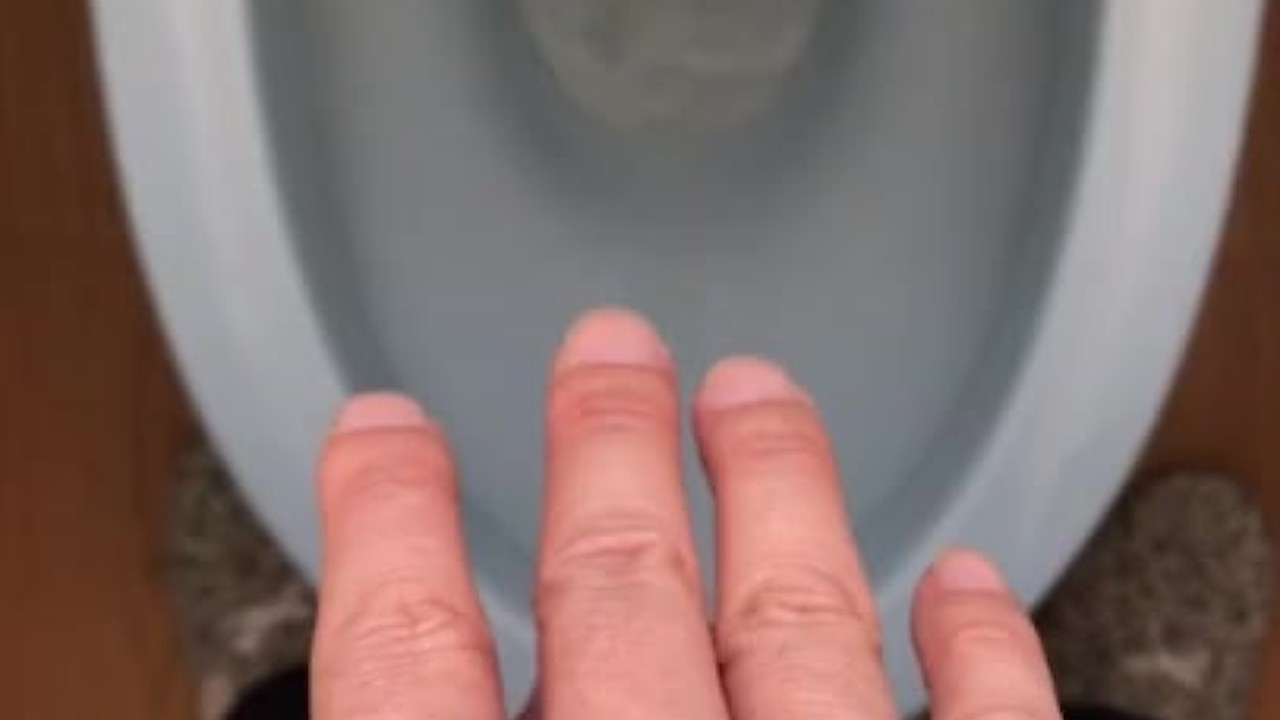 Gay Guy Urinates in Toilet Daily