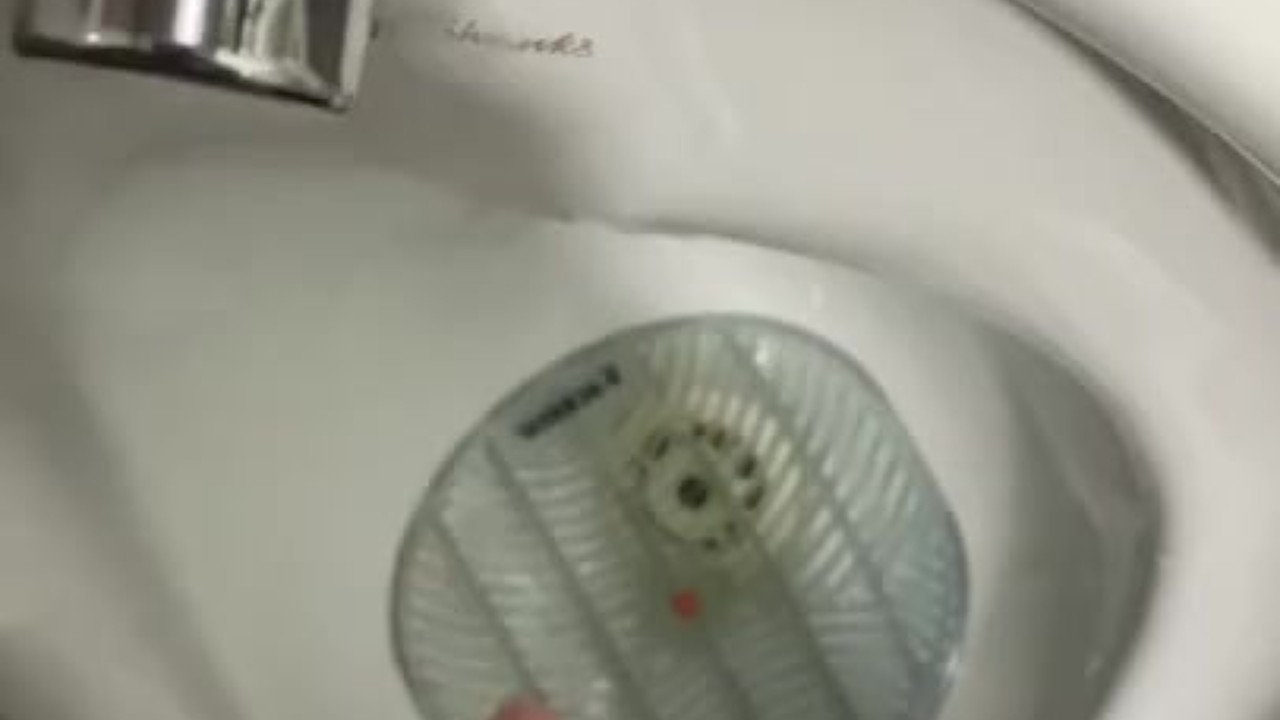 Public Toilet Wank Ends in Cumshot