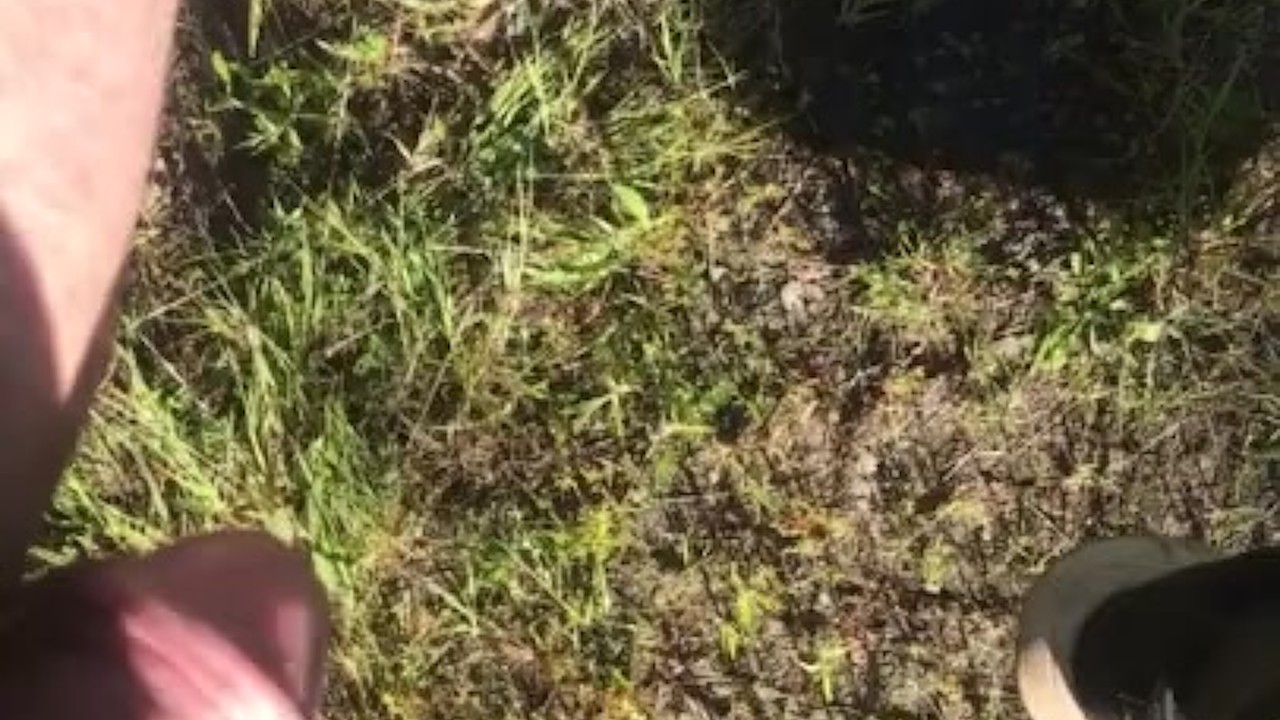 Guy Urinates Off Tailgate Outdoors
