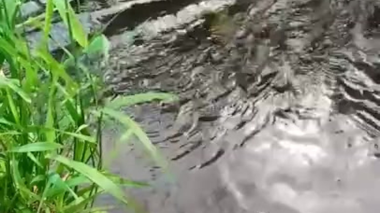 Jock Shoots Cum Over Water Outdoor