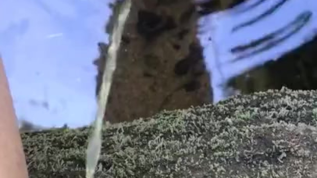 Guy Peeing in River Outdoor