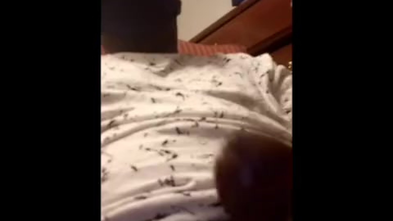 Jock Boy in Sneakers Gets Worshiped Before Deepthroat