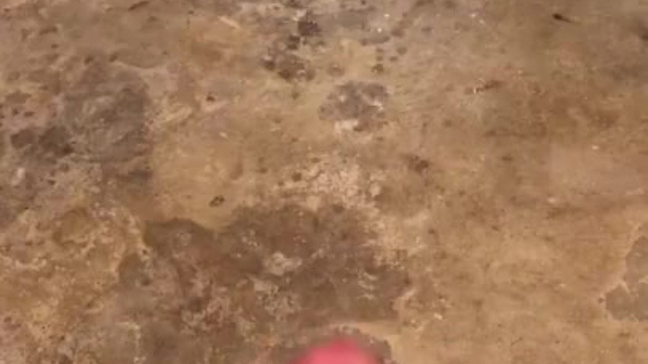 Long Distance Cumshot Covers 10 Feet